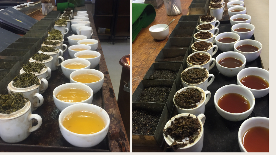 Darjeeling First Flush and Second Flush loose leaf teas compared with dry leaves and brewed cups by ArtTeas