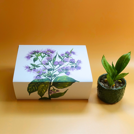 Treasures of Darjeeling tea gift box with botanical artwork by ArtTeas India