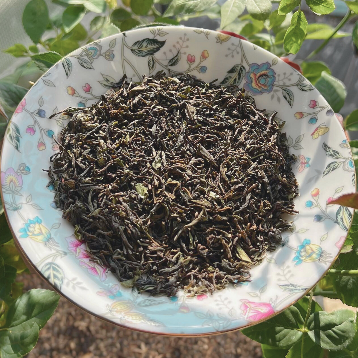 Whole leaf organic Darjeeling First Flush tea leaves - Spring Delight Premium by ArtTeas® 