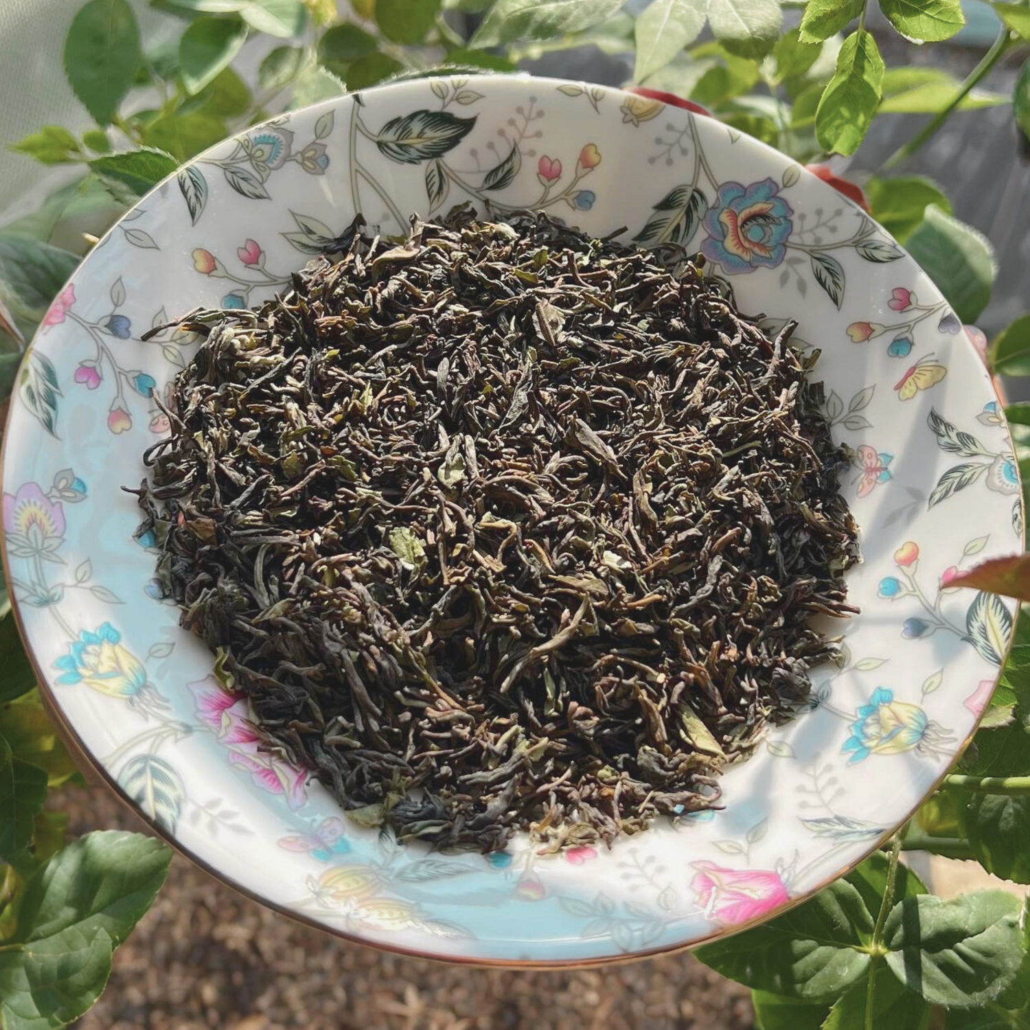 ArtTeas® by Chai Experience - Darjeeling Export Quality First Flush Tea Online