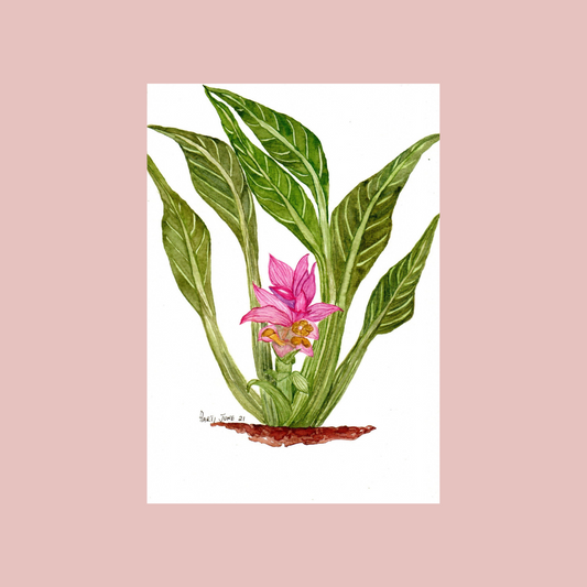 Buy Watercolor Paintings Online: ArtTeas® 