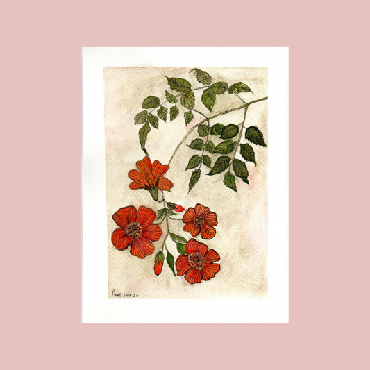 Hand-painted botanical watercolor paintings by ArtTeas® 