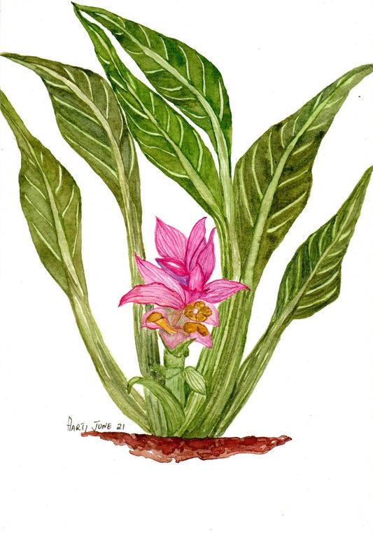 Botanical Watercolor Paintings in India - ArtTeas® 