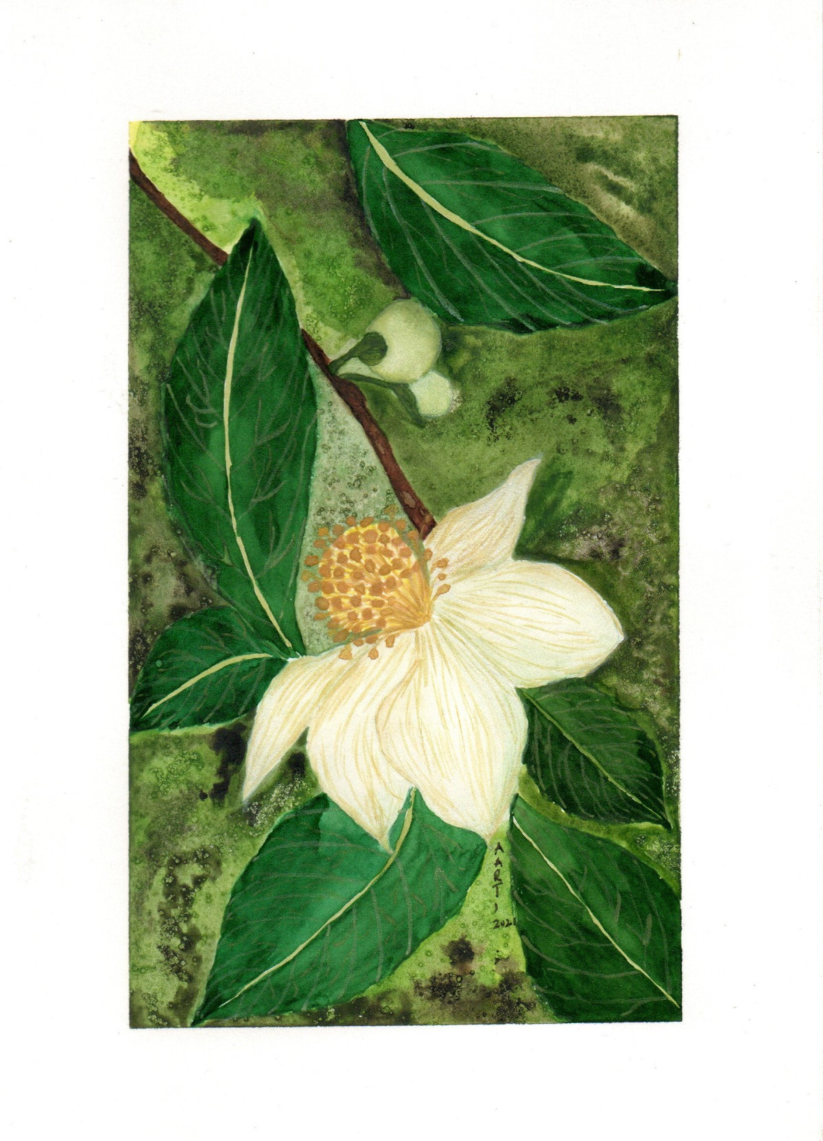 Watercolor Botanical Green & White Painting by ArtTeas® 