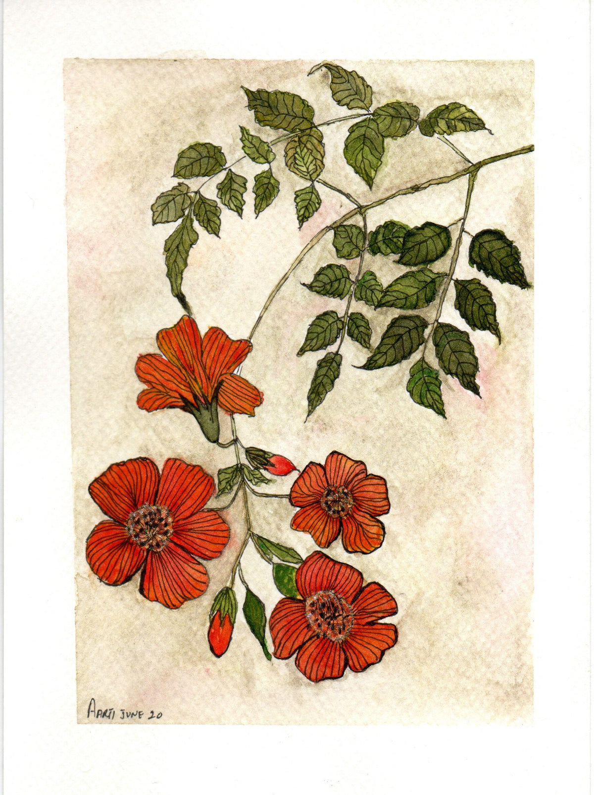 Botanical Watercolor hand-painting by founder - Aarti Khanna